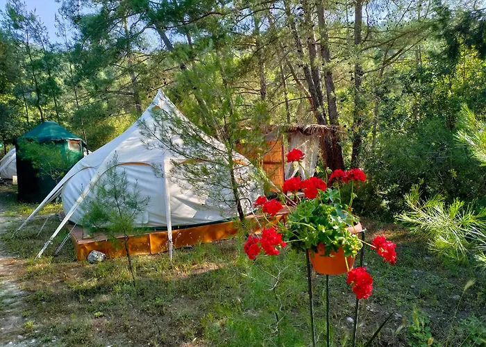 Campings à Île de Rhodes